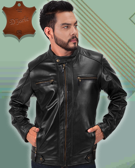 Modelo Zorro